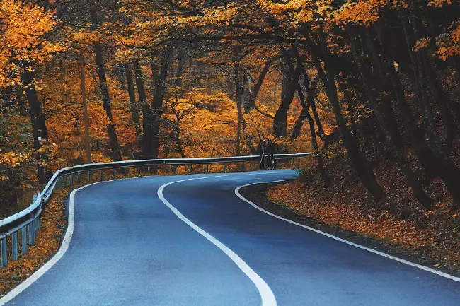 Bezpieczeństwo na drogach jesienią 
