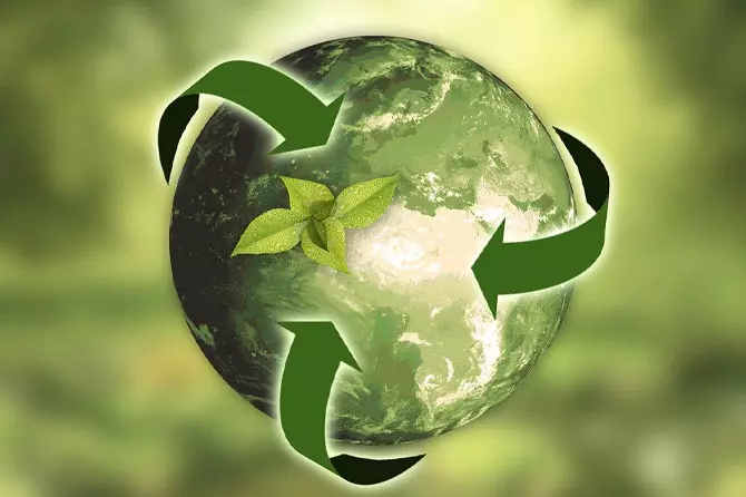 Zielony krok w kolejny rok, czyli noworoczne ekopostanowienia 